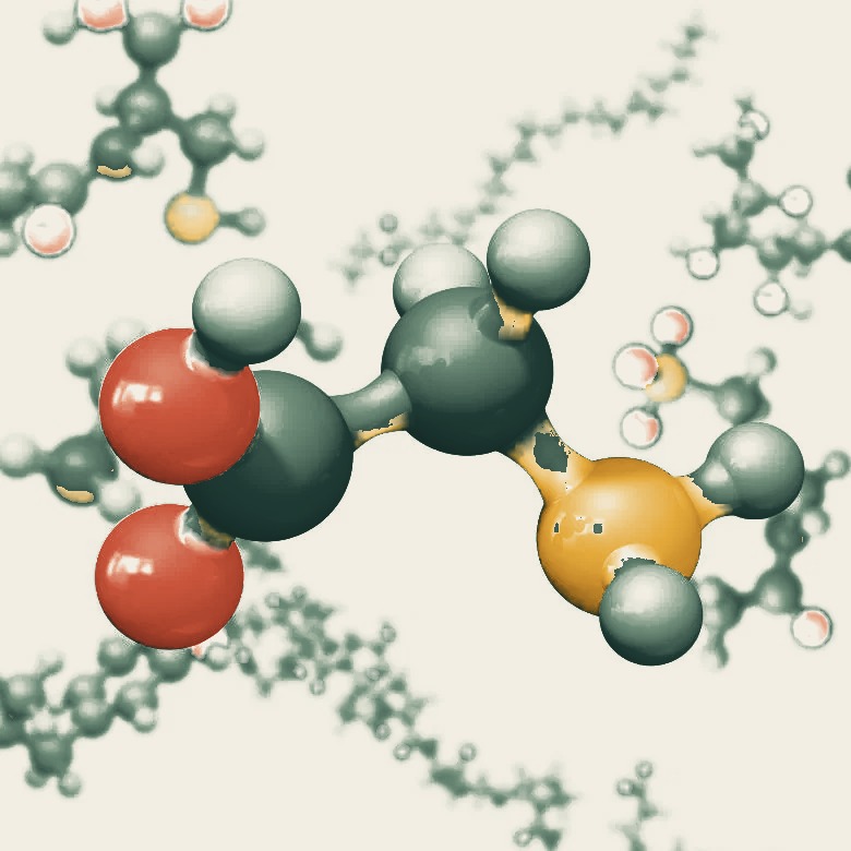Glycine molecule, ball-and-stick model